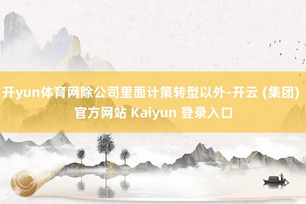 开yun体育网除公司里面计策转型以外-开云 (集团) 官方网站 Kaiyun 登录入口