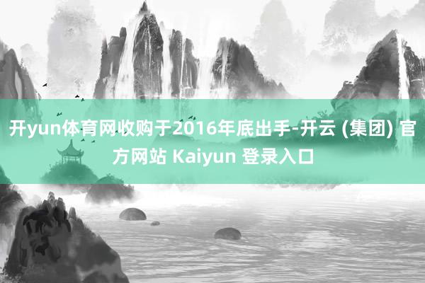 开yun体育网收购于2016年底出手-开云 (集团) 官方网站 Kaiyun 登录入口