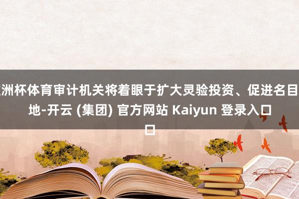 欧洲杯体育审计机关将着眼于扩大灵验投资、促进名目落地-开云 (集团) 官方网站 Kaiyun 登录入口