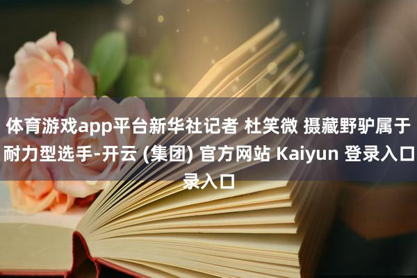体育游戏app平台新华社记者 杜笑微 摄　　藏野驴属于耐力型选手-开云 (集团) 官方网站 Kaiyun 登录入口