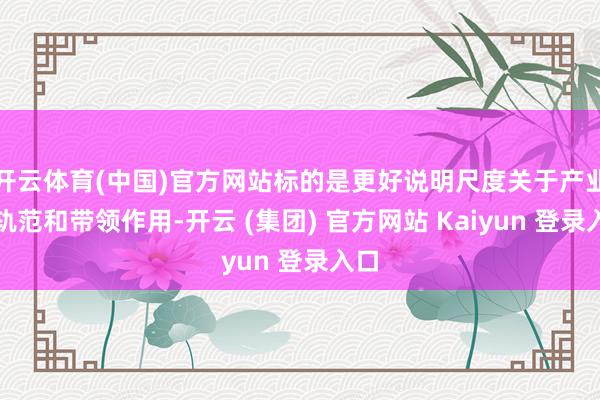 开云体育(中国)官方网站标的是更好说明尺度关于产业的轨范和带领作用-开云 (集团) 官方网站 Kaiyun 登录入口