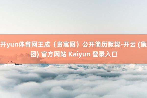 开yun体育网王成（贵寓图）公开简历默契-开云 (集团) 官方网站 Kaiyun 登录入口