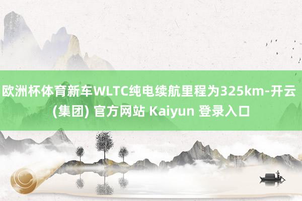 欧洲杯体育新车WLTC纯电续航里程为325km-开云 (集团) 官方网站 Kaiyun 登录入口