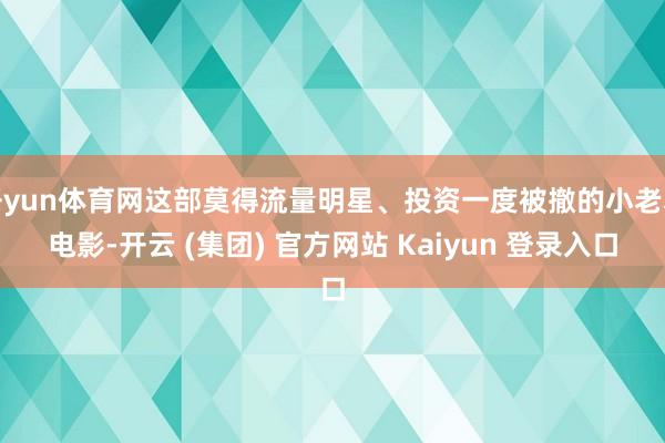 开yun体育网这部莫得流量明星、投资一度被撤的小老本电影-开云 (集团) 官方网站 Kaiyun 登录入口